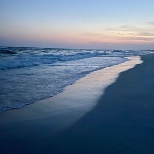 Meet your Posher, Ellie